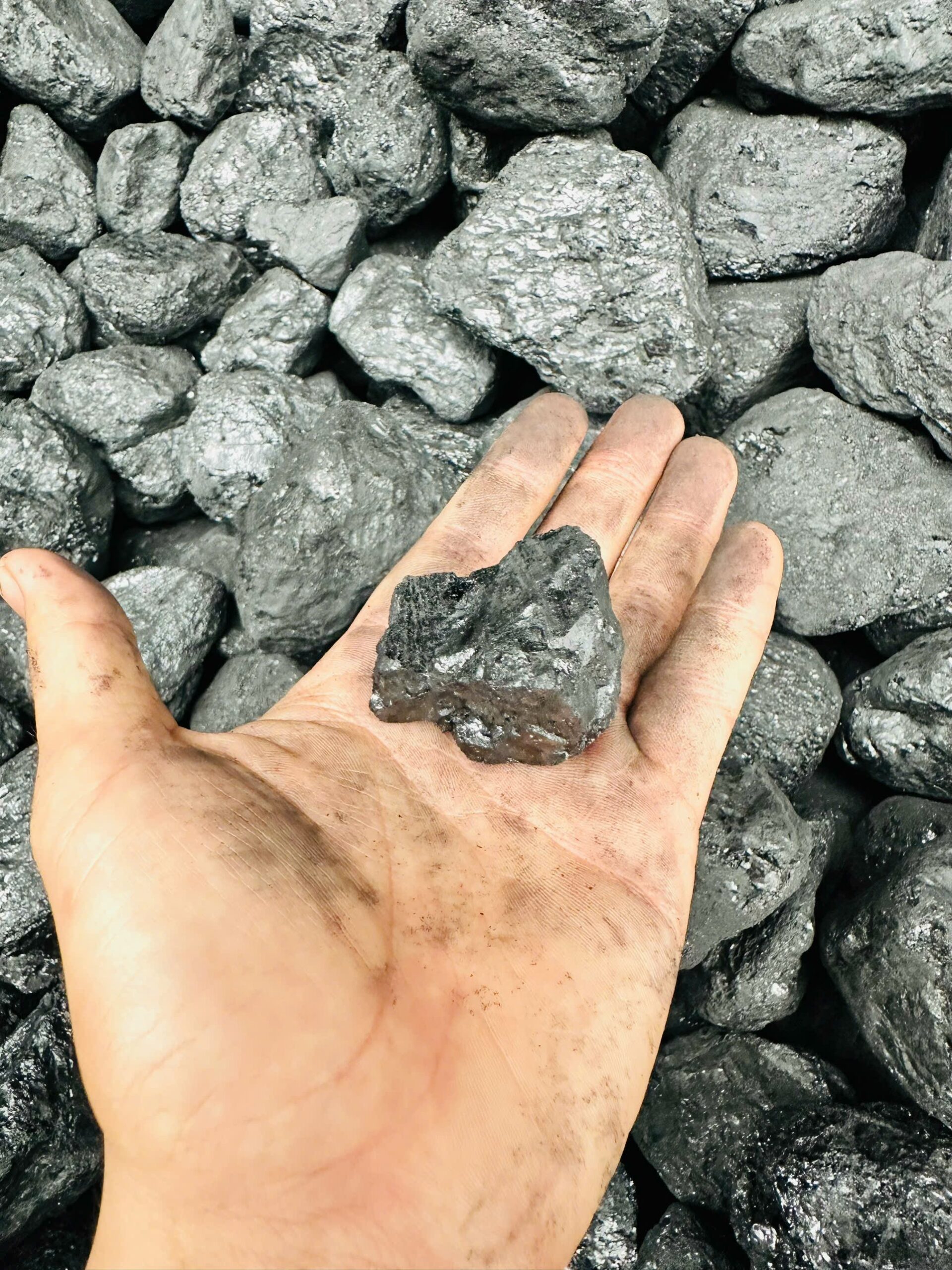 Kho than đá vĩnh Lộc- Than Thành Đức- Bình chánh (10)